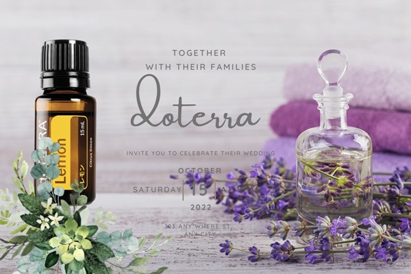 doTERRAの取扱商品とイメージ